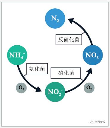 污水廠的處理流程中的工藝細節管理（十九）-生化池的運行細節10