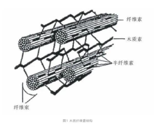 篩分回收污水中纖維素物質