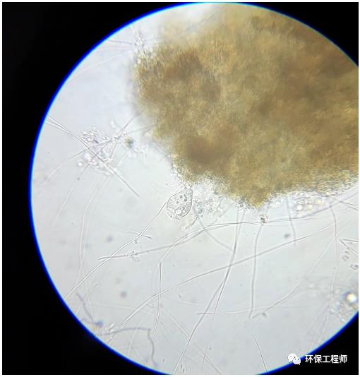 搞定污泥絲狀菌膨脹之后 我連夜整理了這篇調試日記！